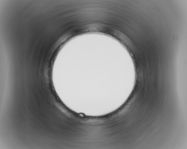 X0000113031026200910081216