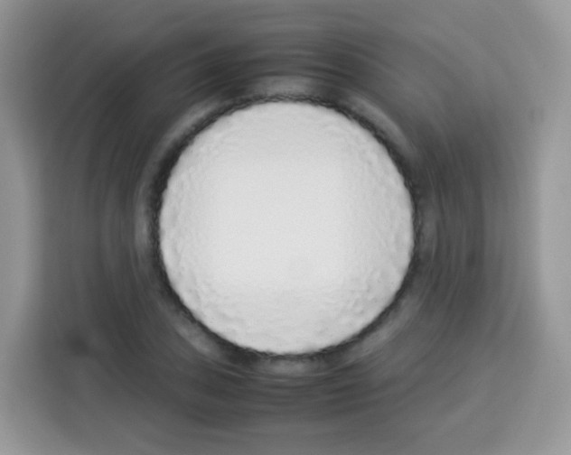 X0000113031027200910081216