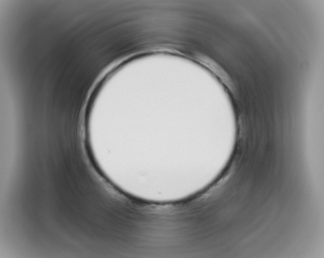 X0000113031028200910081216