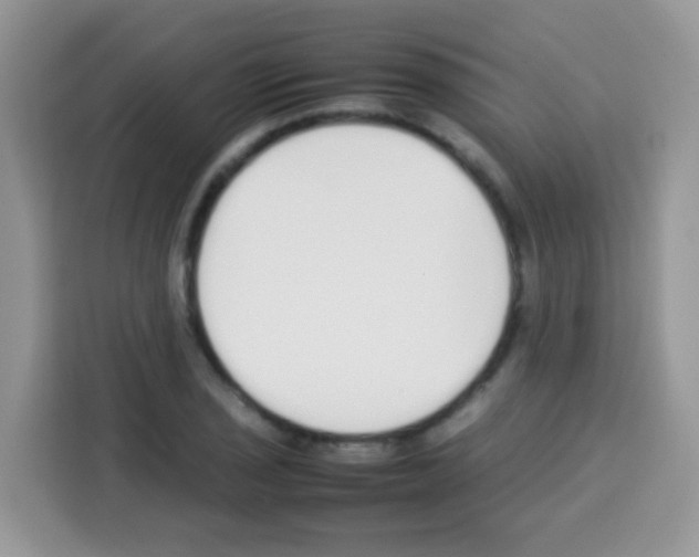 X0000113031029200910081216