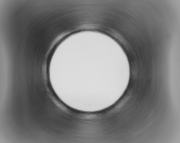X0000113031030200910081216