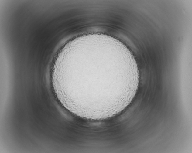 X0000113031031200910081216