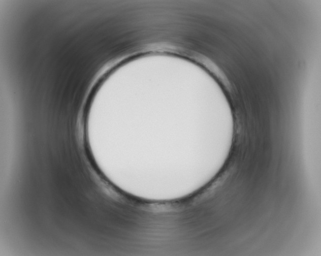 X0000113031032200910081216