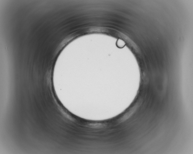 X0000113031033200910081216