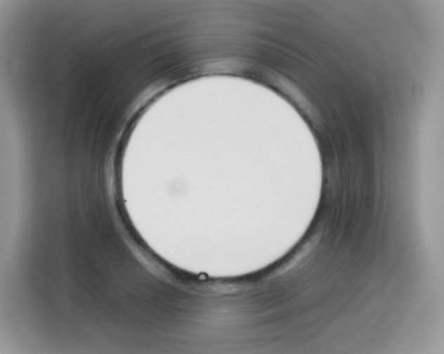 X0000113031034200910081216