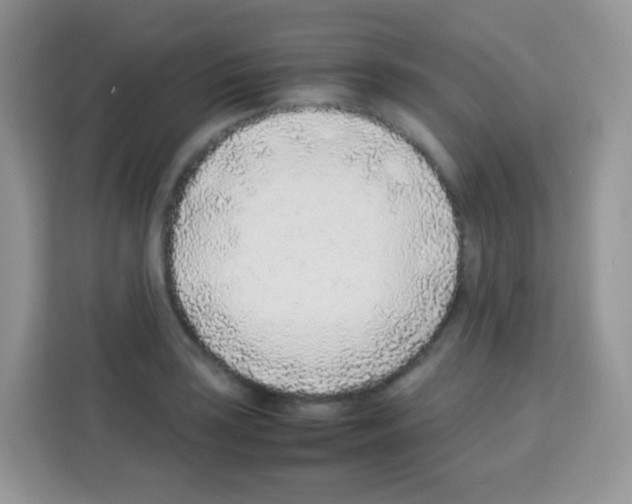 X0000113031035200910081216