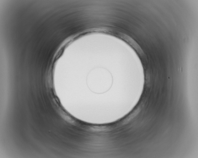 X0000113031036200910081216