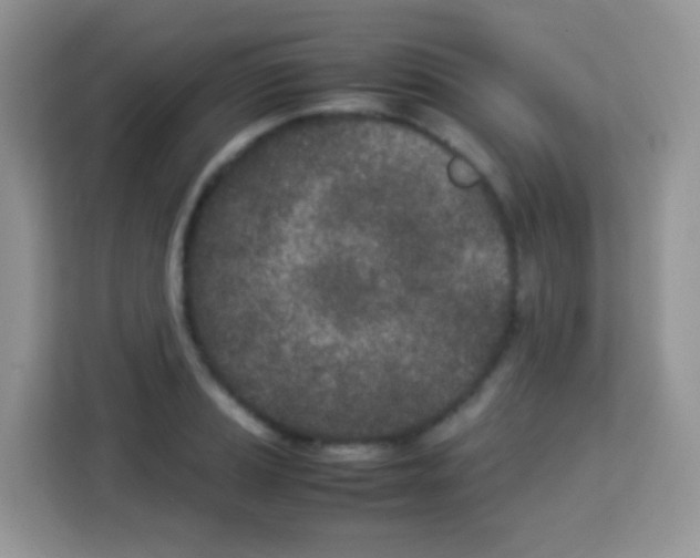 X0000113031037200910081216
