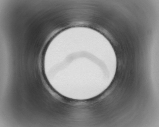 X0000113031038200910081216