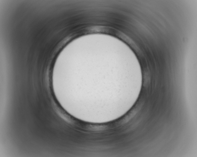 X0000113031039200910081216