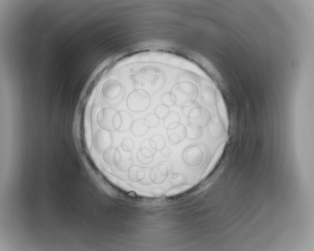 X0000113031040200910081216