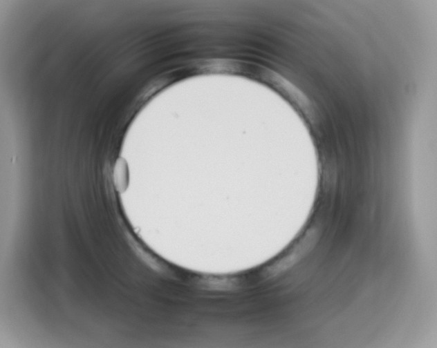 X0000113031041200910081216