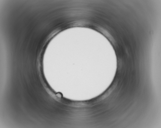 X0000113031042200910081216
