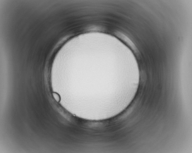 X0000113031043200910081216