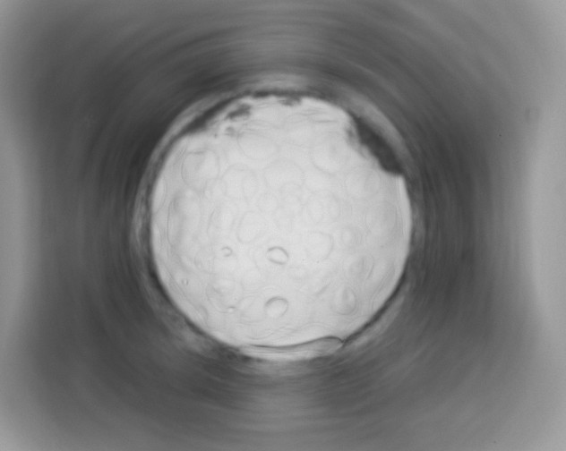 X0000113031044200910081216