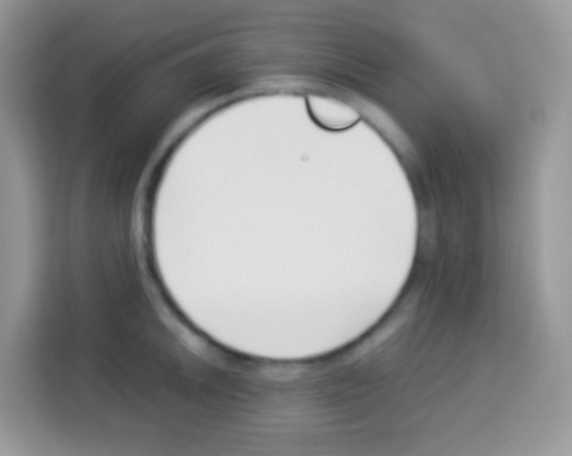 X0000113031046200910081216