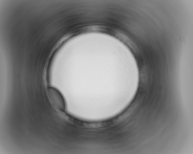 X0000113031047200910081216