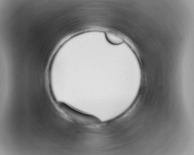 X0000113031048200910081216