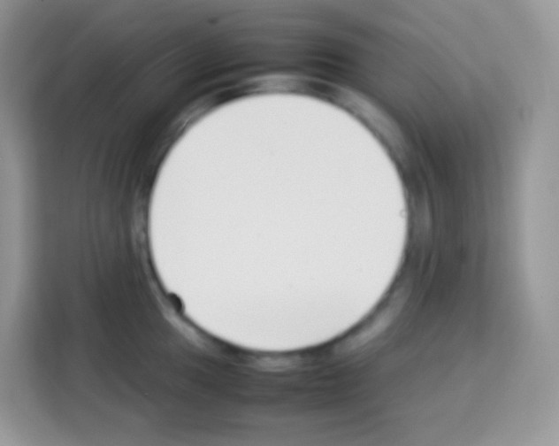 X0000113031049200910081216