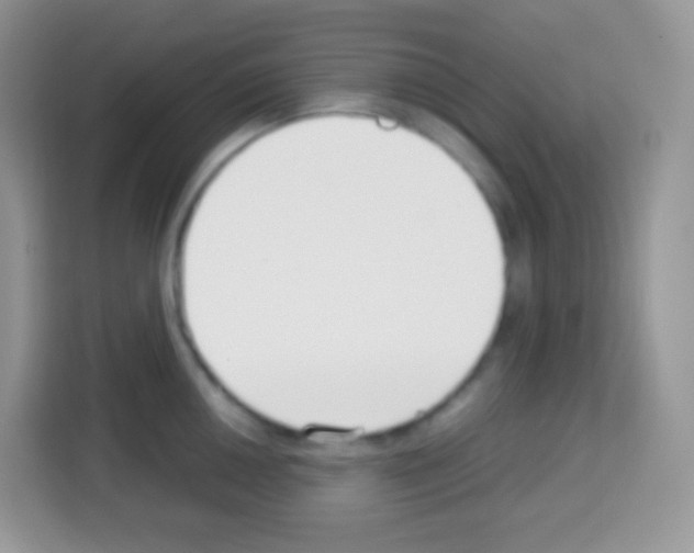 X0000113031050200910081216