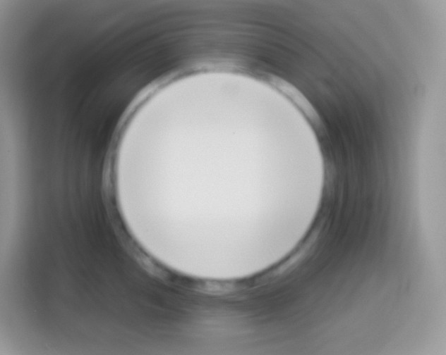 X0000113031052200910081216