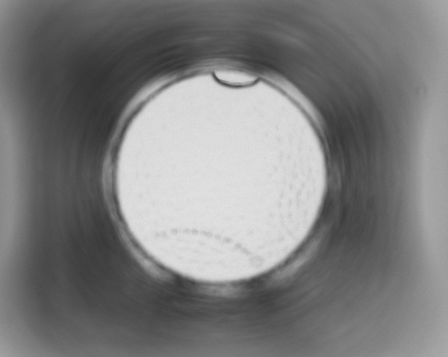 X0000113031053200910081216
