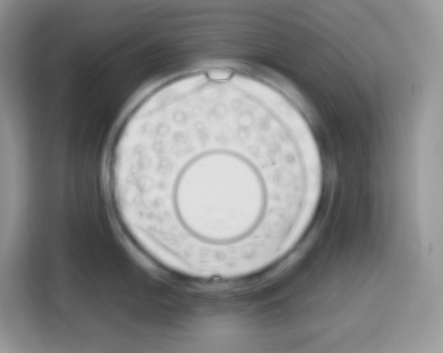 X0000113031054200910081216