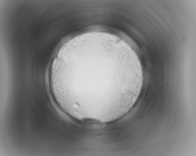X0000113031055200910081216