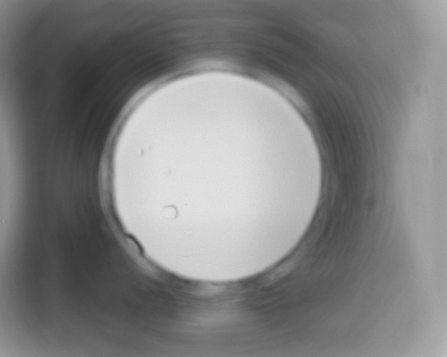 X0000113031056200910081216