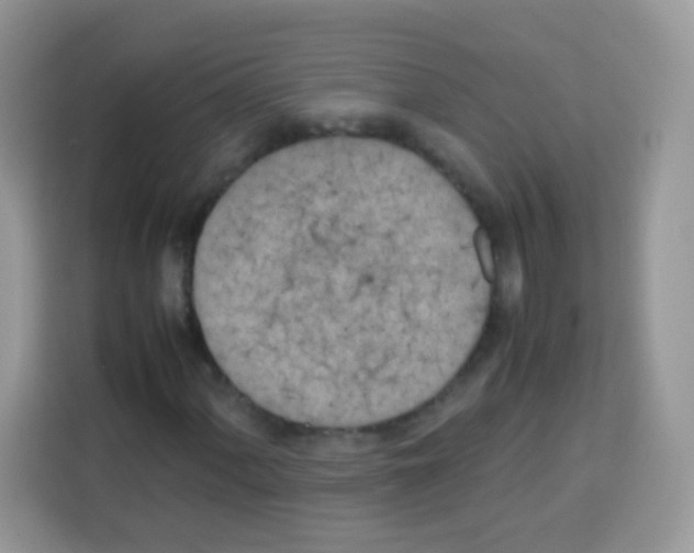 X0000113031060200910081215