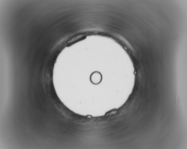 X0000113031064200910081215