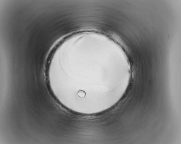 X0000113031068200910081215