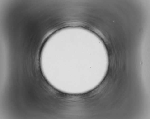 X0000113031071200910081215