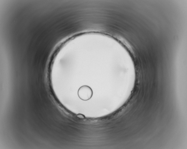 X0000113031072200910081215