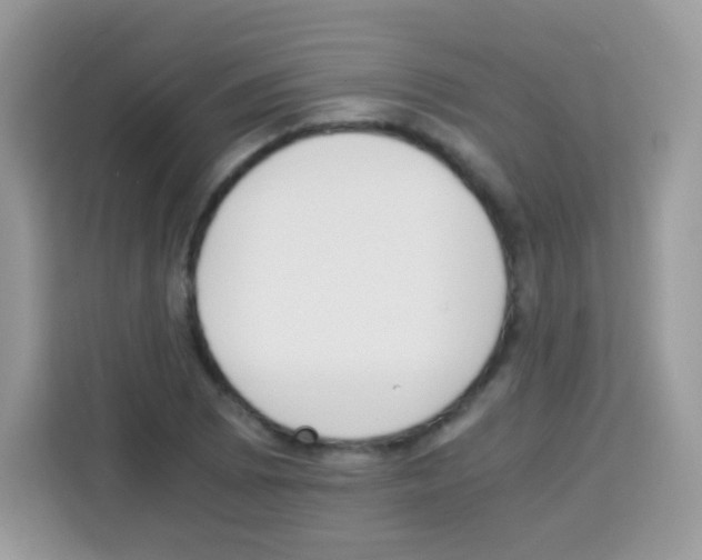 X0000113031073200910081215