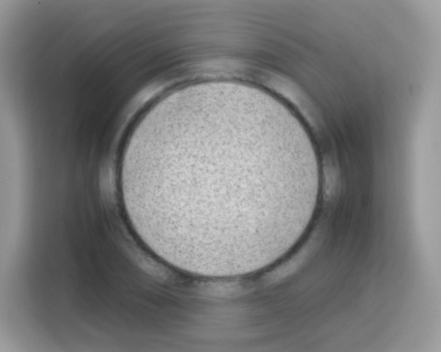 X0000113031074200910081215