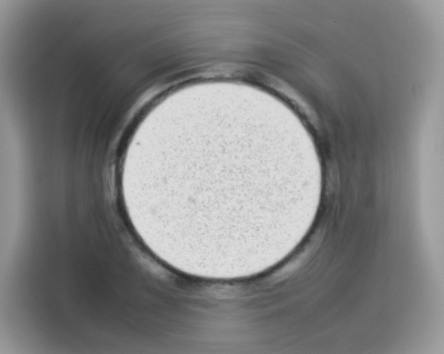 X0000113031075200910081215