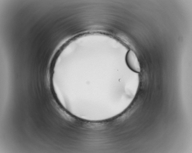 X0000113031076200910081215