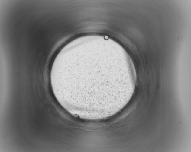 X0000113031077200910081215