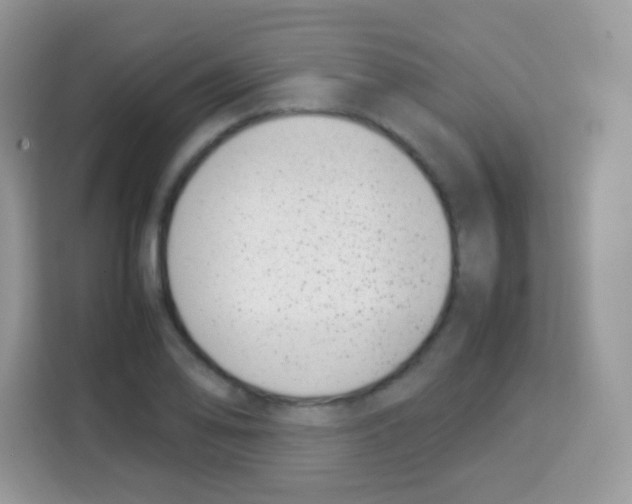 X0000113031078200910081215