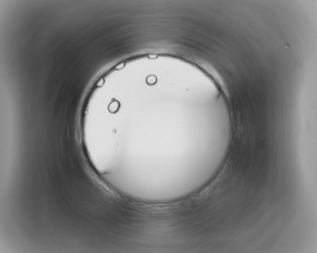 X0000113031080200910081215
