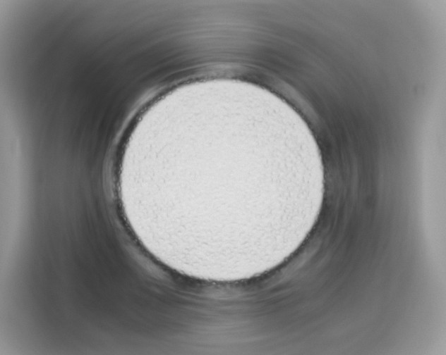 X0000113031083200910081215