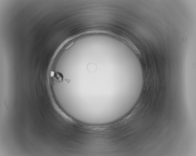 X0000113031084200910081215