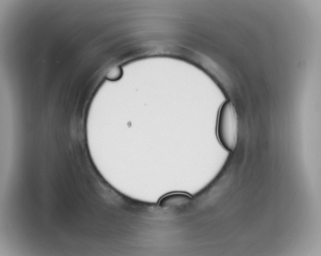 X0000113031089200910081215