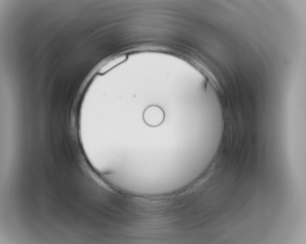 X0000113031092200910081215