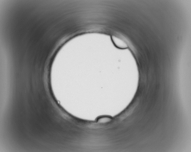 X0000113031093200910081215