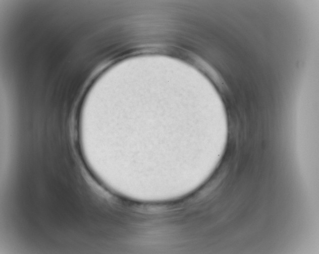 X0000113031095200910081215