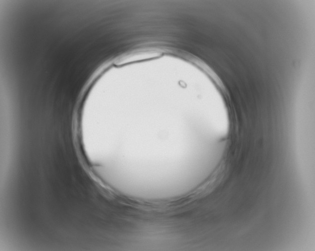 X0000113031101200910081215