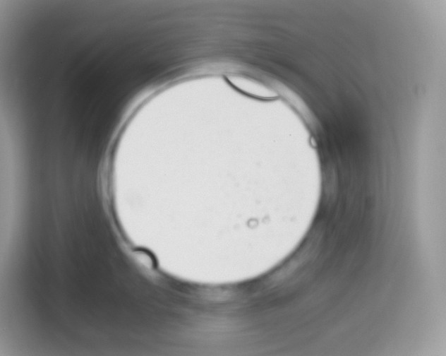X0000113031103200910081215