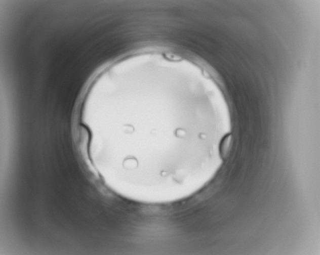 X0000113031104200910081215